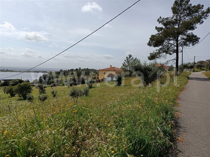 Terreno  Abrantes, Mouriscas - 1318577 - 7