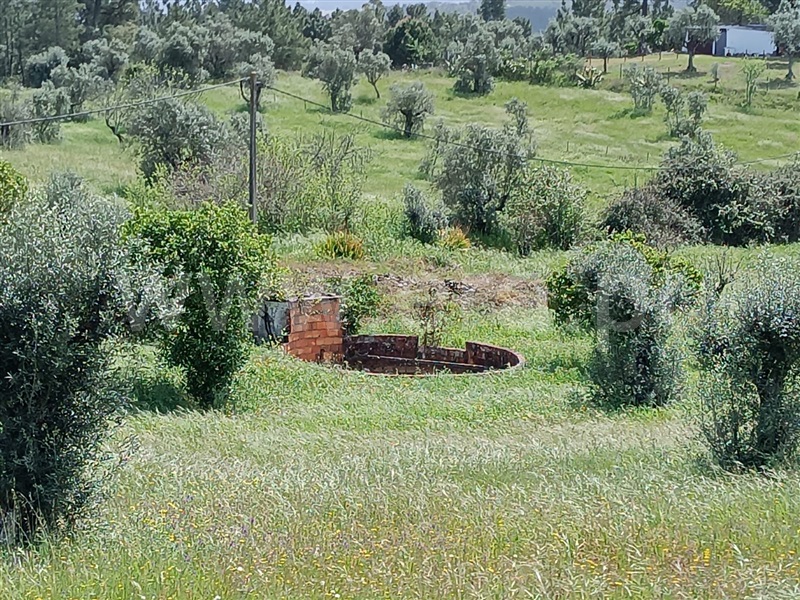 Terreno  Abrantes, Mouriscas - 1318577 - 8