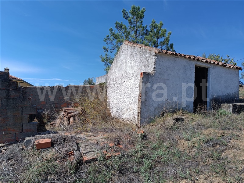 Terreno Rústico  Abrantes, Mouriscas - 1318577 - 10