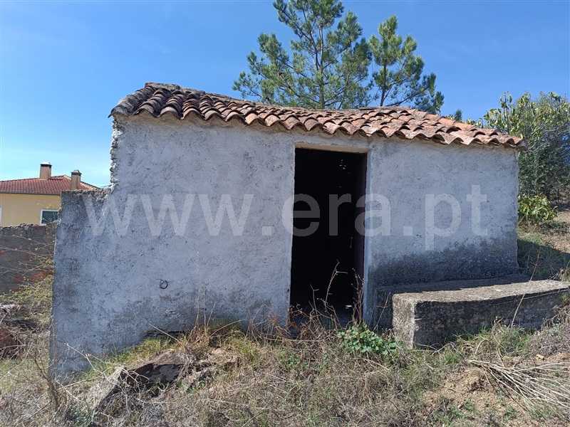 Terreno Rústico  Abrantes, Mouriscas - 1318577 - 11