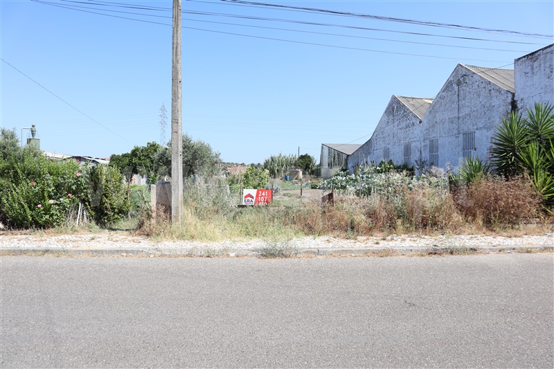 Terreno Rústico / Abrantes, Tapadão