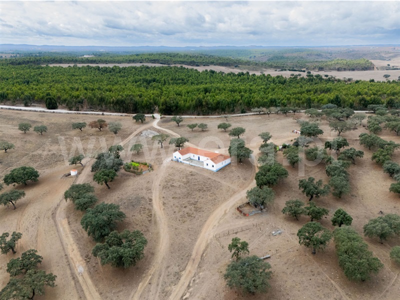 Terreno Rústico / Alandroal, Alandroal (Nossa Senhora da Conceição), São Brás dos Matos (Mina do Bugalho) e Juromenha (Nossa Senhora do Loreto)