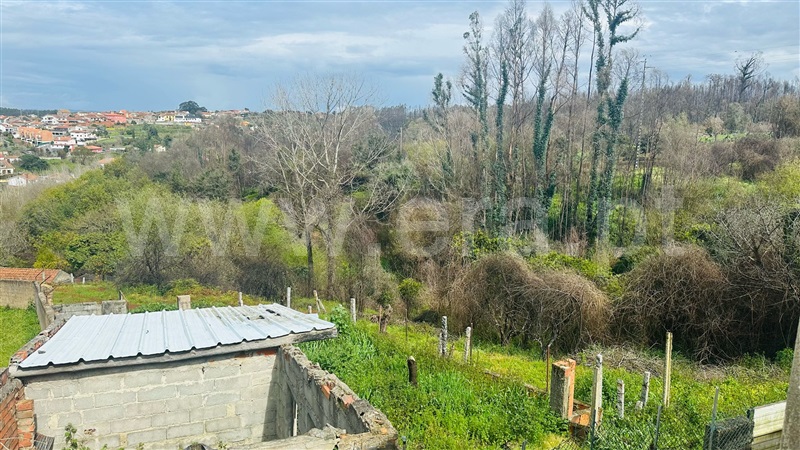 Terreno Rústico / Albergaria-a-Velha, Angeja