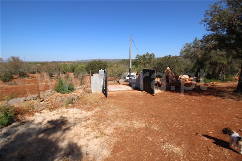 Terreno Rústico  Albufeira, Aberta - 1509817 - 2
