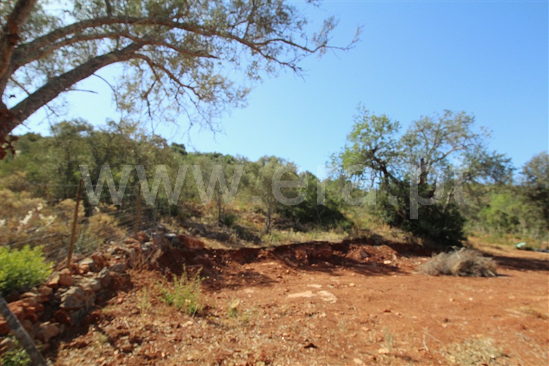 Terreno Rústico  Albufeira, Aberta - 1509817 - 3