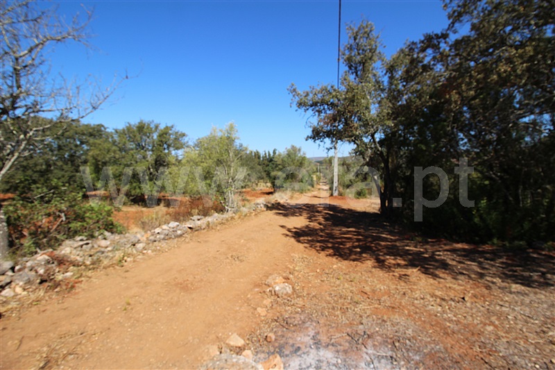 Terreno Rústico  Albufeira, Aberta - 1509817 - 4