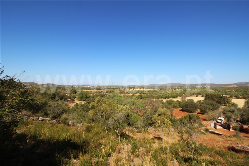 Terreno Rústico  Albufeira, Aberta - 1509817 - 6