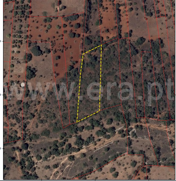 Terreno Rústico  Albufeira, Aberta - 1509817 - 8