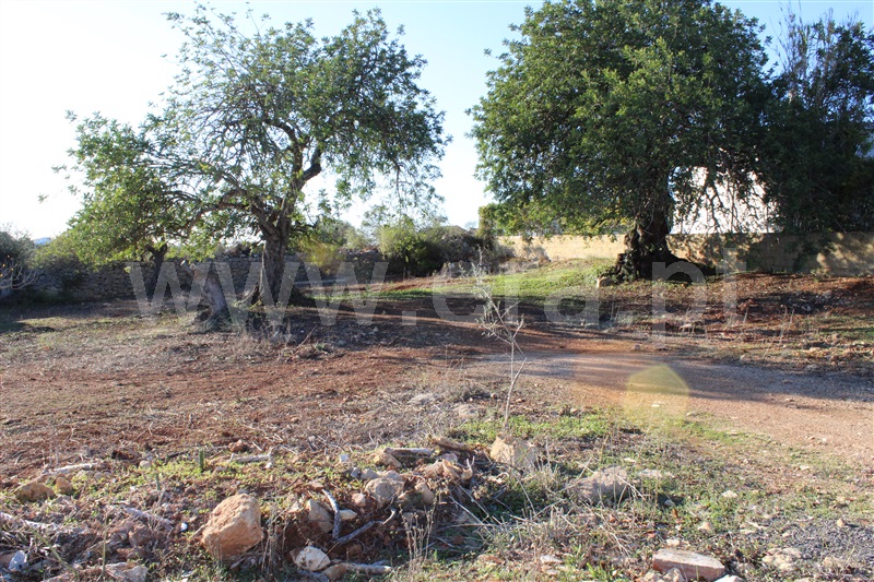 Lote  Albufeira, Paderne - 1262362 - 3