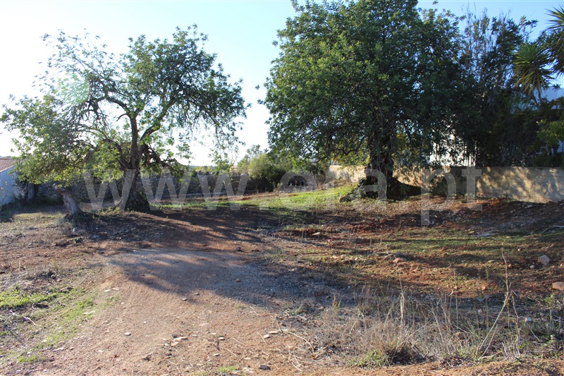 Lote  Albufeira, Paderne - 1262362 - 4