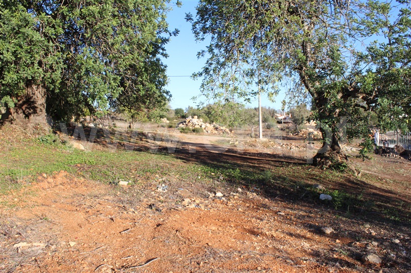 Lote  Albufeira, Paderne - 1262362 - 6