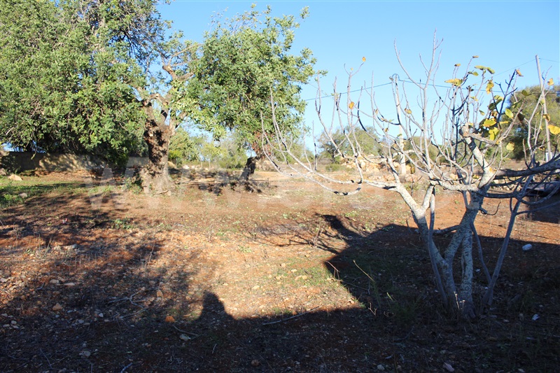 Lote  Albufeira, Paderne - 1262362 - 9
