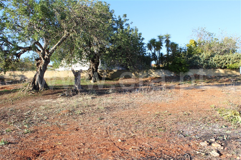 Lote  Albufeira, Paderne - 1262362 - 10