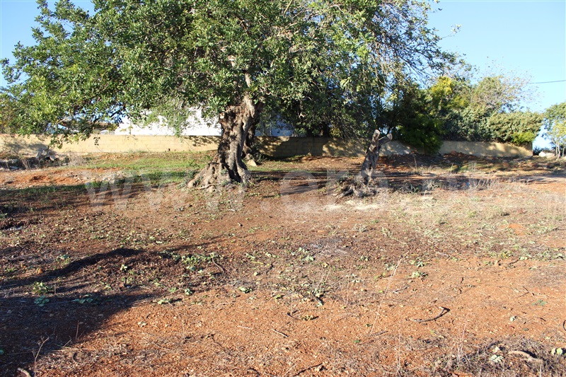 Lote  Albufeira, Paderne - 1262362 - 11