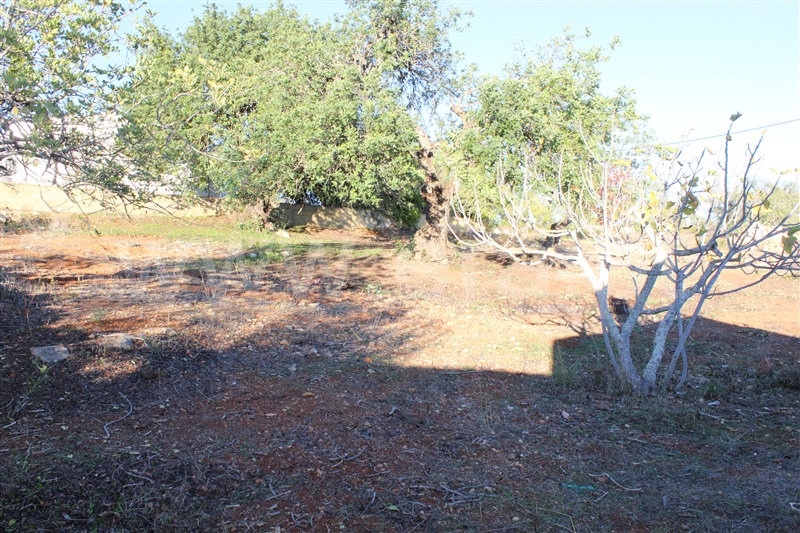 Lote  Albufeira, Paderne - 1262362 - 12