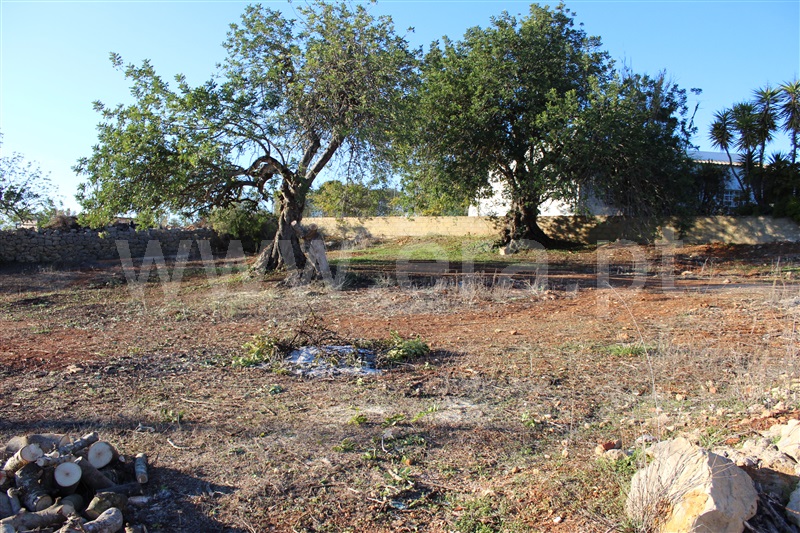 Lote  Albufeira, Paderne - 1262362 - 14