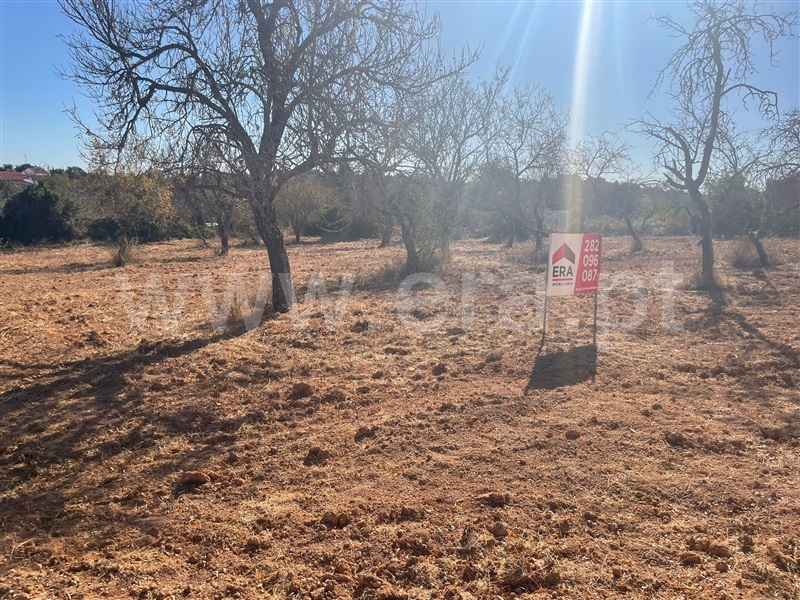 Terreno Rústico  Albufeira, Paderne - 1499529 - 3
