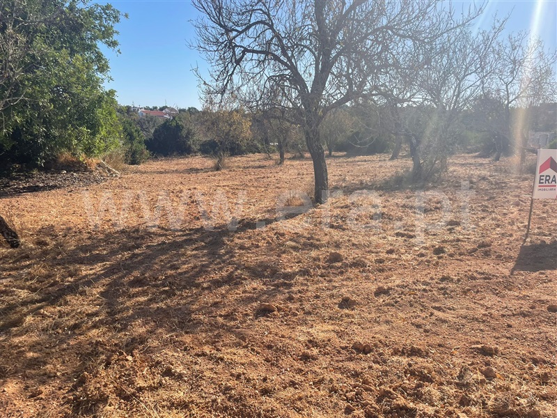 Terreno Rústico  Albufeira, Paderne - 1499529 - 5