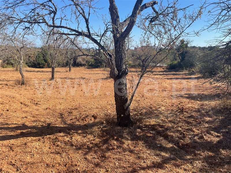 Terreno Rústico  Albufeira, Paderne - 1499529 - 6