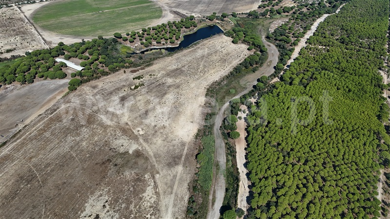 Terreno Rústico  Alcácer do Sal, Alcácer do Sal (Santa Maria do Castelo e Santiago) e Santa Susana - 1505629 - 2