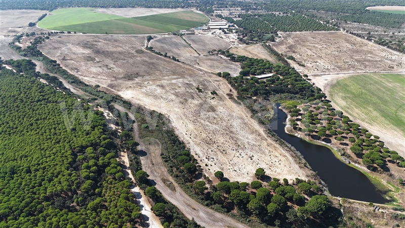Terreno Rústico  Alcácer do Sal, Alcácer do Sal (Santa Maria do Castelo e Santiago) e Santa Susana - 1505629 - 4
