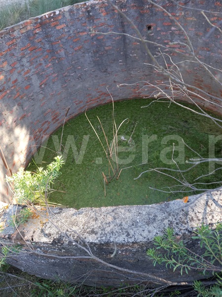 Terreno Rústico  Alcácer do Sal, Alcácer do Sal (Santa Maria do Castelo e Santiago) e Santa Susana - 1480719 - 1