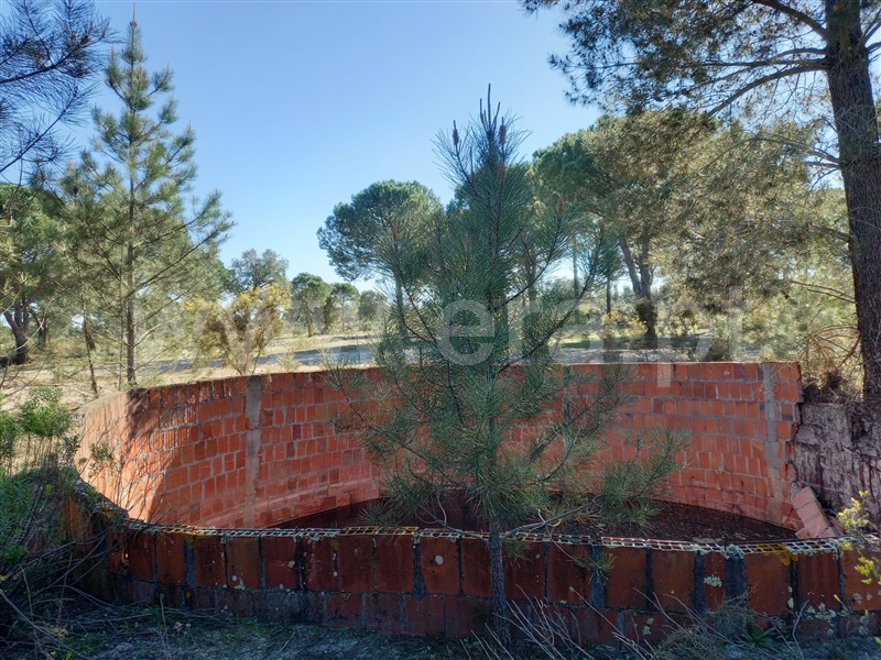 Terreno Rústico  Alcácer do Sal, Alcácer do Sal (Santa Maria do Castelo e Santiago) e Santa Susana - 1480719 - 4