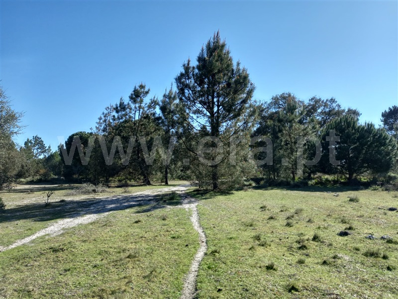 Terreno Rústico  Alcácer do Sal, Alcácer do Sal (Santa Maria do Castelo e Santiago) e Santa Susana - 1480719 - 14