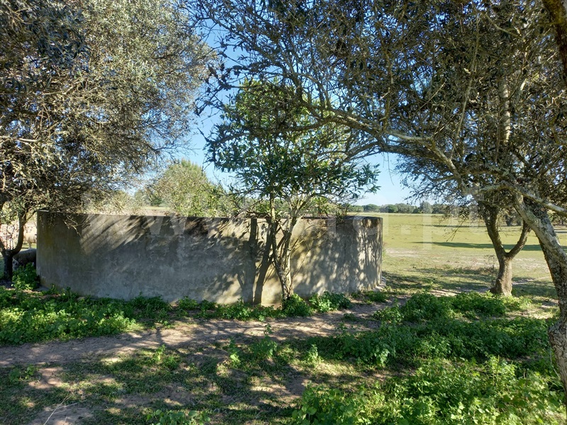 Terreno Rústico / Alcácer do Sal, Alcácer do Sal (Santa Maria do Castelo e Santiago) e Santa Susana