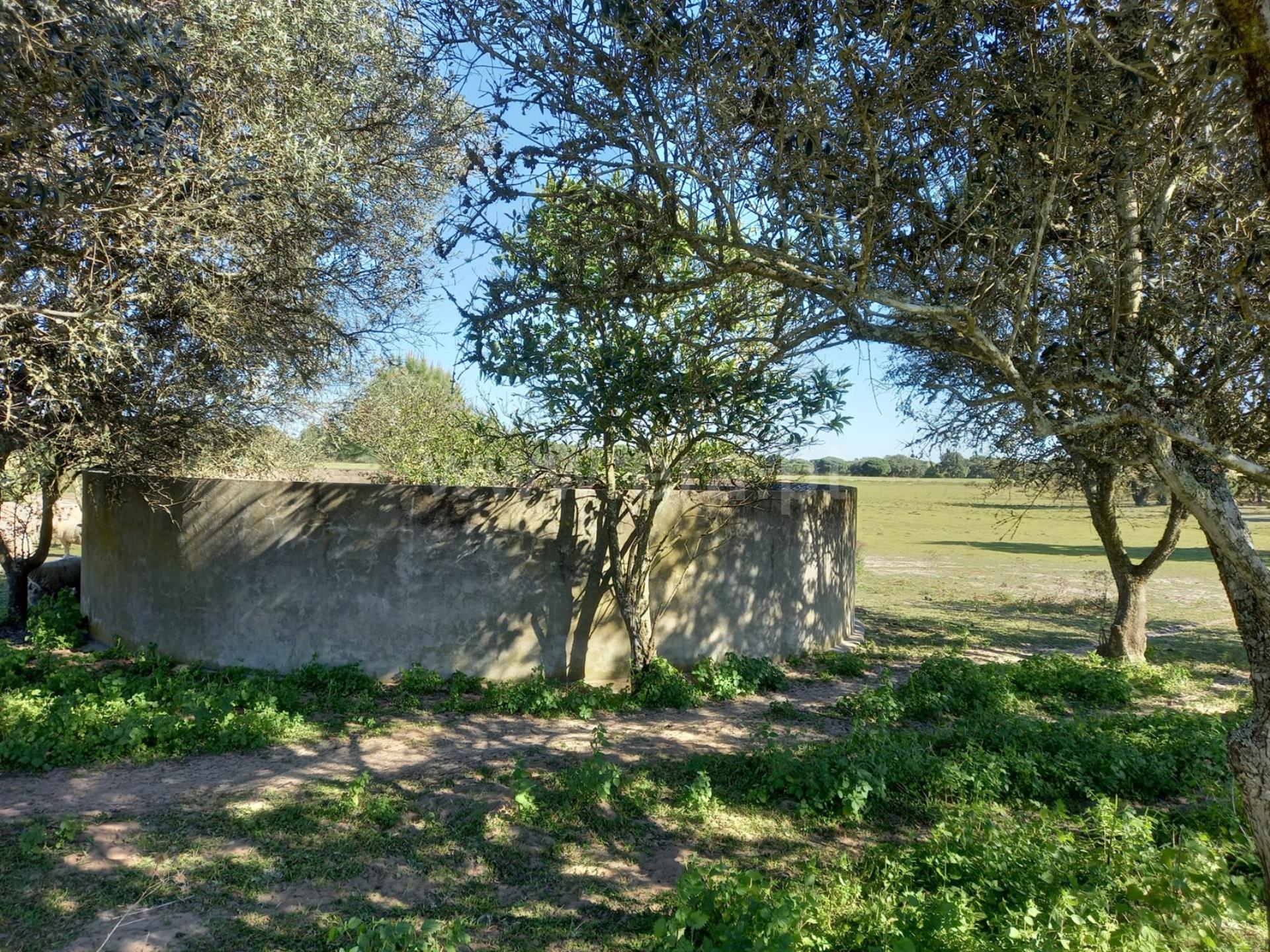 Land for sale in Alcácer do Sal, Portugal — €180,000
