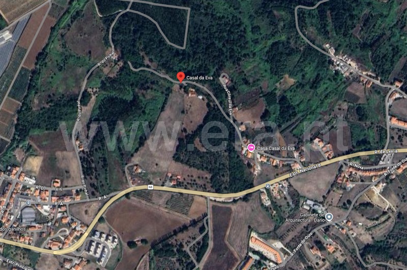 Terreno Rústico / Alcobaça, Alcobaça