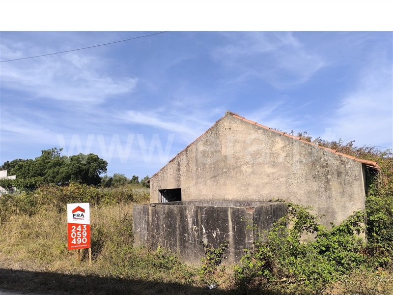 Terreno Rústico  Alcobaça, Benedita - 1500848 - 3