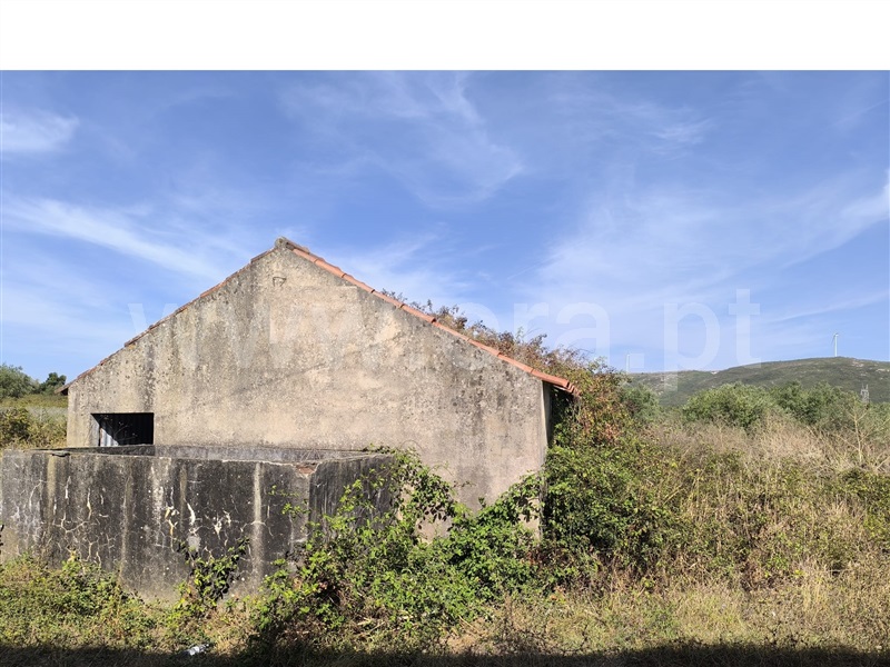 Terreno Rústico  Alcobaça, Benedita - 1500848 - 4