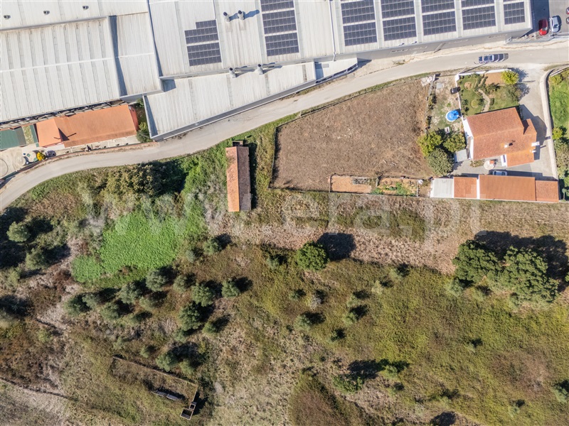 Terreno Rústico / Alcobaça, Benedita