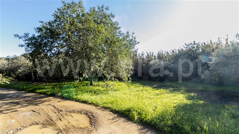Terreno Rústico  Alcoutim, Pontal - 1507978 - 5