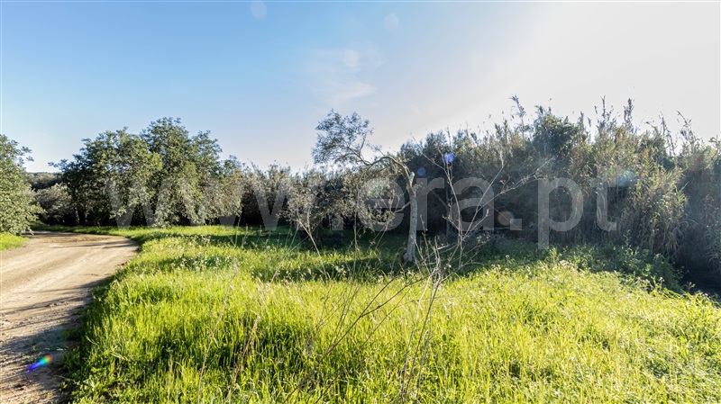Terreno Rústico  Alcoutim, Pontal - 1507978 - 6