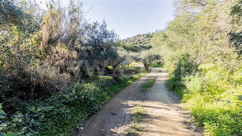 Terreno Rústico  Alcoutim, Pontal - 1507978 - 3