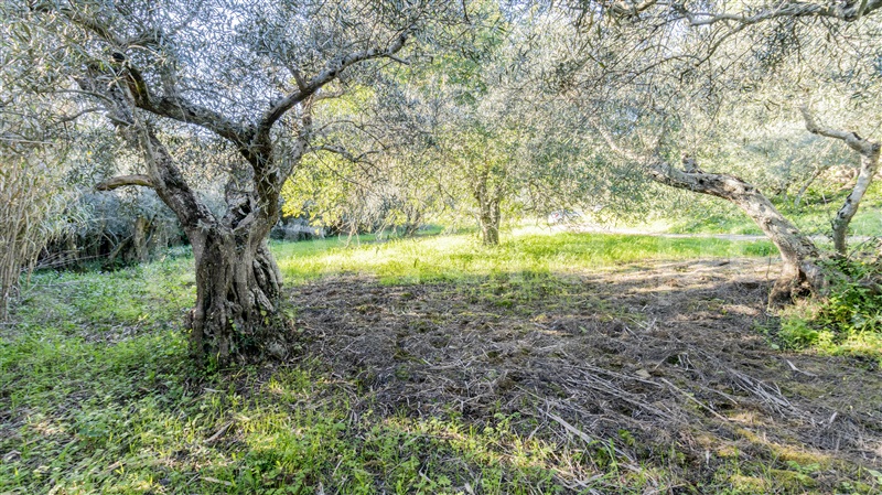 Terreno Rústico  Alcoutim, Pontal - 1507978 - 4