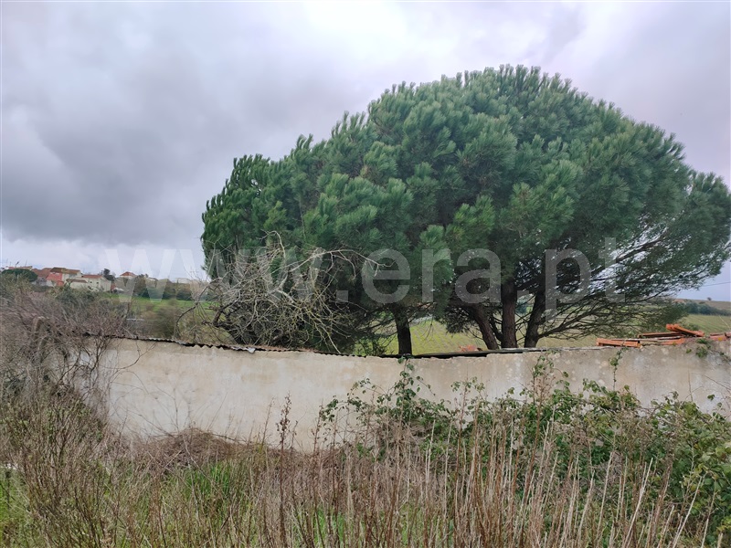 Terreno Rústico  Alenquer, Ventosa - 1457145 - 5