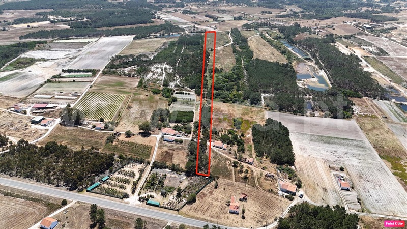 Terreno Rústico  com Agrícola Aljezur, Rogil - 1380445 - 1