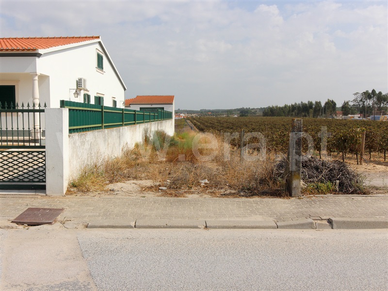 Terreno Rústico / Alpiarça, Alpiarça