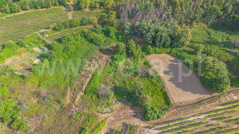 Terreno Rústico  Amarante, Figueiró (Santiago e Santa Cristina) - 1501863 - 5