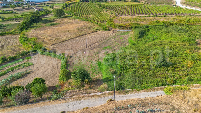Terreno Rústico  Amarante, Figueiró (Santiago e Santa Cristina) - 1501869 - 4