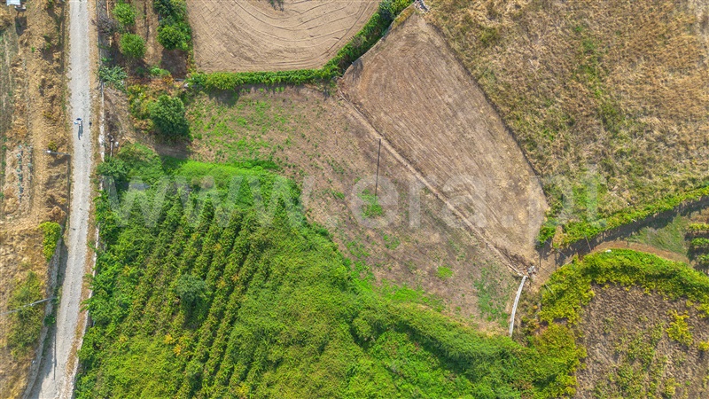 Terreno Rústico  Amarante, Figueiró (Santiago e Santa Cristina) - 1501869 - 5