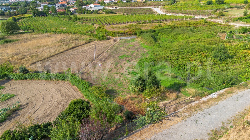 Terreno Rústico  Amarante, Figueiró (Santiago e Santa Cristina) - 1501869 - 6