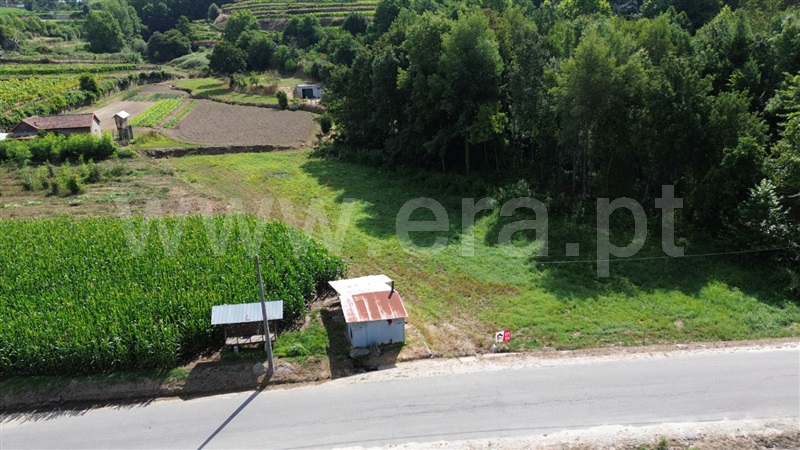 Terreno Rústico / Amarante, Figueiró (Santiago e Santa Cristina)