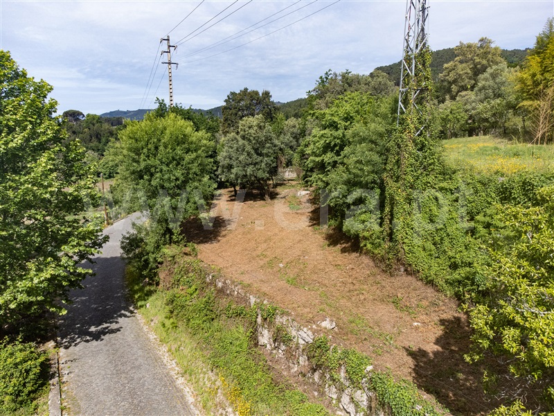 Terreno Rústico  Amares, Bouro (Santa Maria) - 1297950 - 10