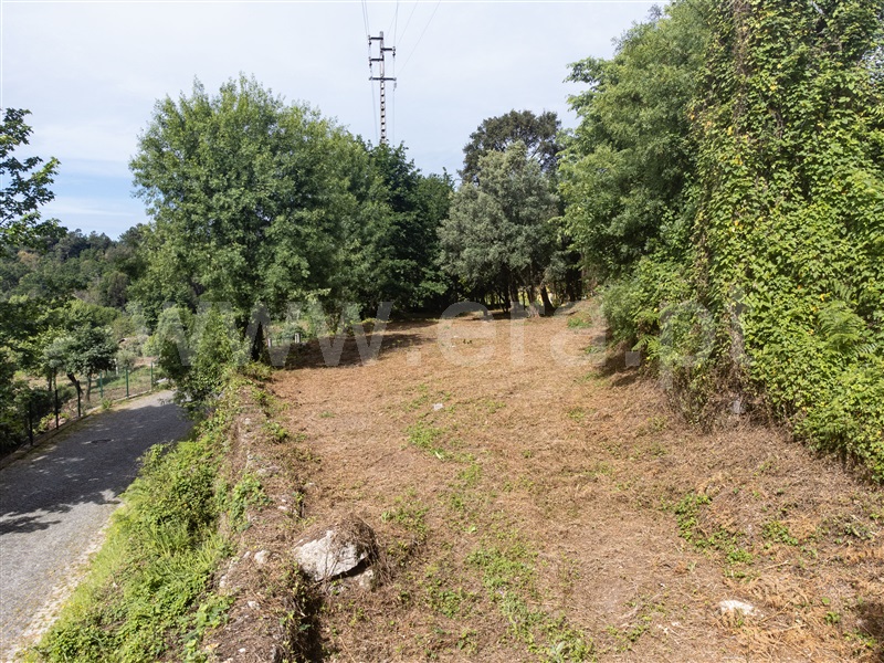 Terreno Rústico  Amares, Bouro (Santa Maria) - 1297950 - 11