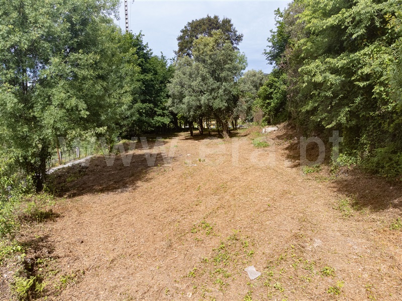 Terreno Rústico  Amares, Bouro (Santa Maria) - 1297950 - 12