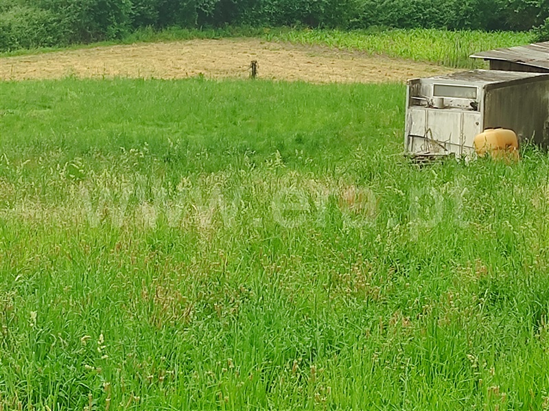 Terreno Rústico  com Agrícola Amares, Caldelas, Sequeiros e Paranhos - 1412630 - 4